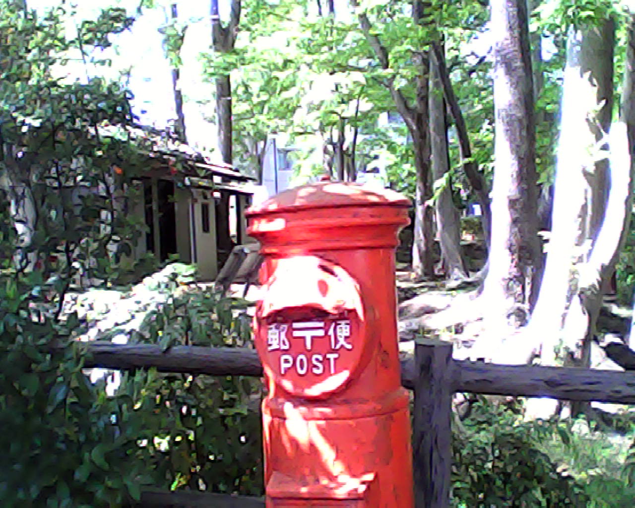 toy-camera007.jpg